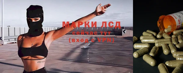 стафф Богородицк