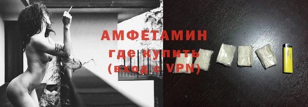гидра Богданович