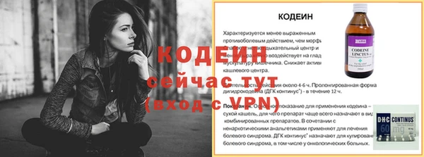 гидра Богданович
