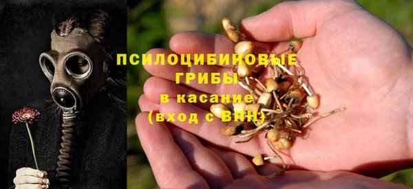 первитин Богородск