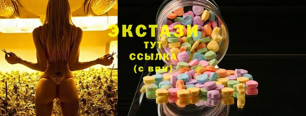 гидра Богданович