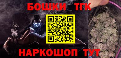 гашик Шелехов