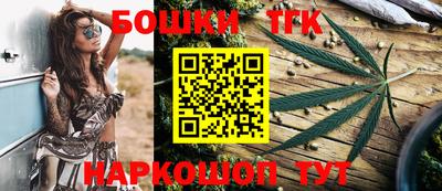 гашик Шелехов