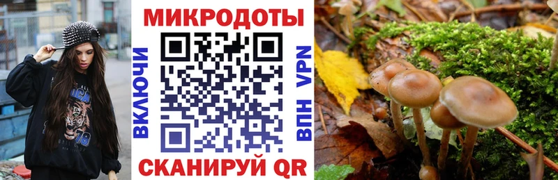 Галлюциногенные грибы MAGIC MUSHROOMS  купить наркотики сайты  Вязники 