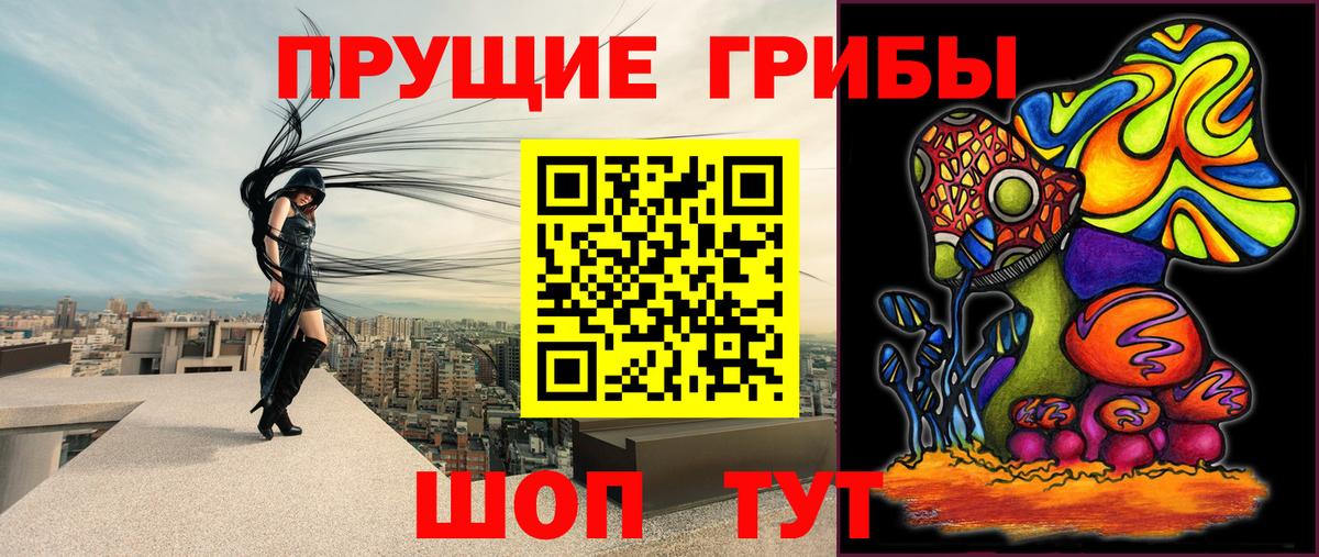 Галлюциногенные грибы Вязники