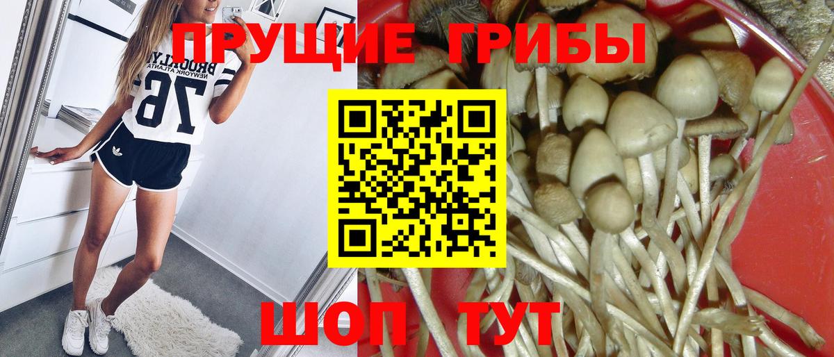 Галлюциногенные грибы MAGIC MUSHROOMS Вязники