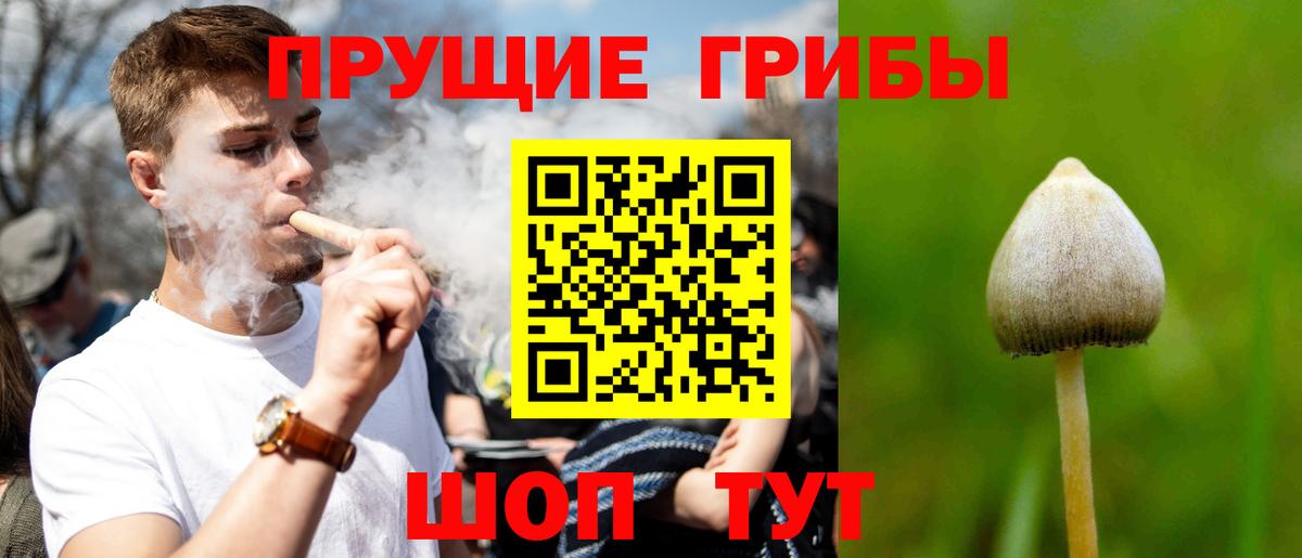 Вязники  Галлюциногенные грибы ЛСД  Вход с VPN 