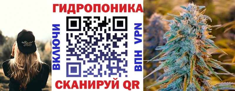 где продают Вязники Бошки Шишки план